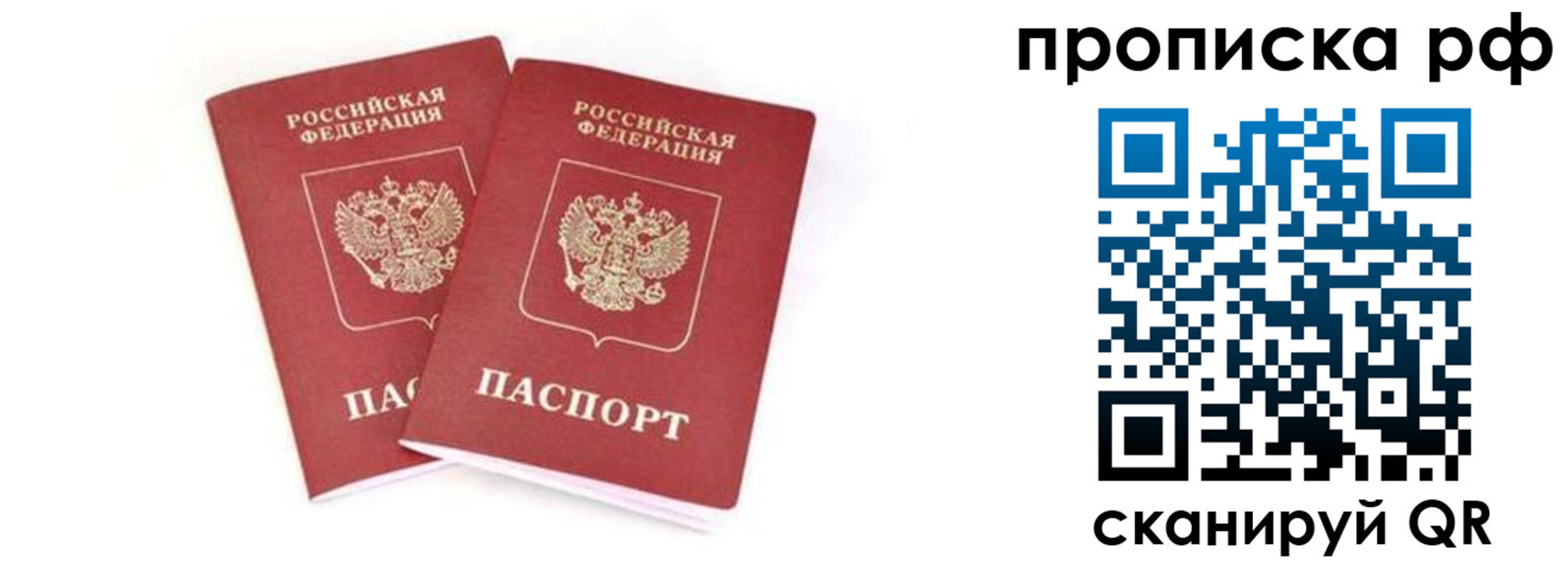 прописка поиск в Камчатском крае